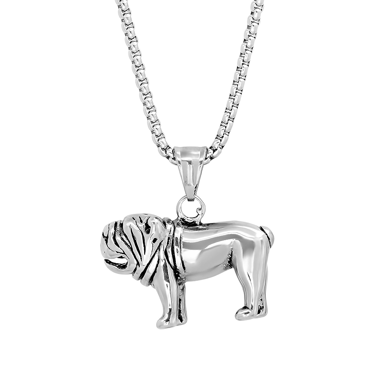 Stainless Steel Pendant