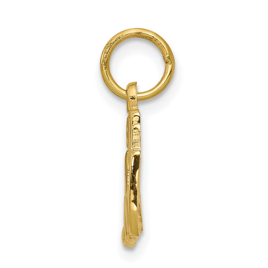 10k 50th ANNIVERSARY Charm