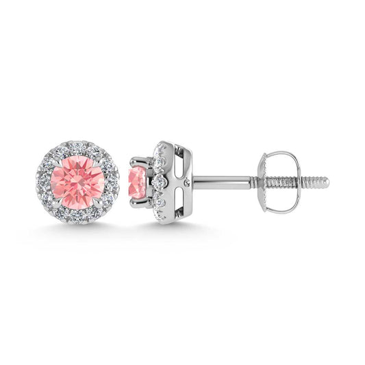 14K White Gold 3/4 Ct.Tw. White and Pink Lab Grown Diamond Stud Earrings