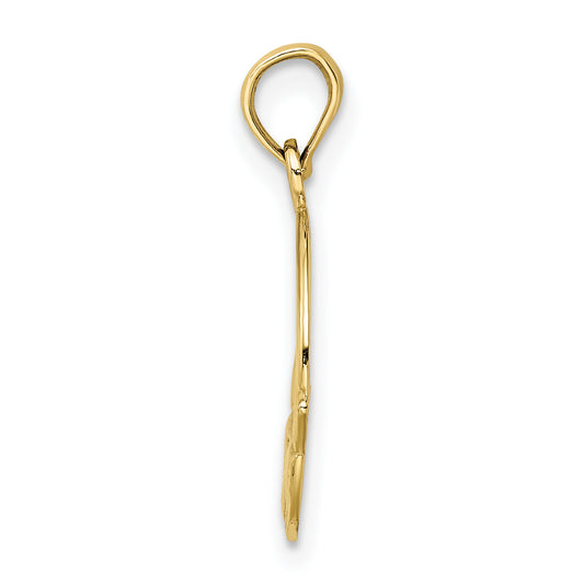 10K Polished Textured Round Claddagh Charm