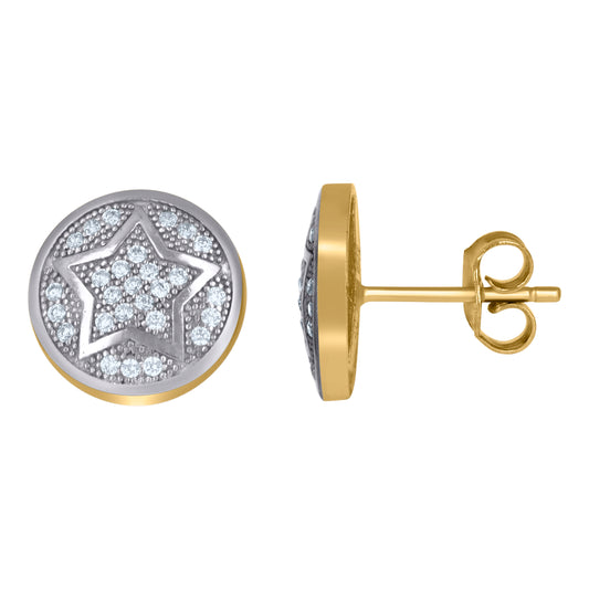 10Kt Gold Earrings