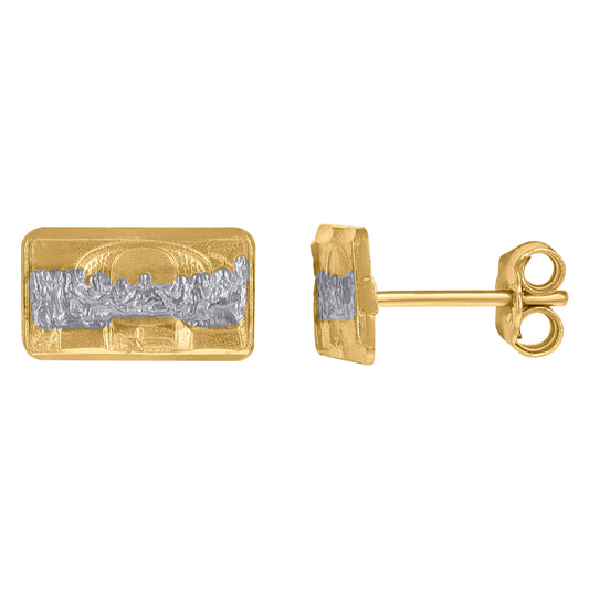 10Kt Gold Earrings
