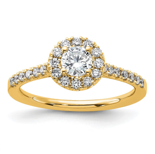 14k 3/4ct Lab Grown Diamond VS/SI+ G+ Round Comp Halo Eng Ring
